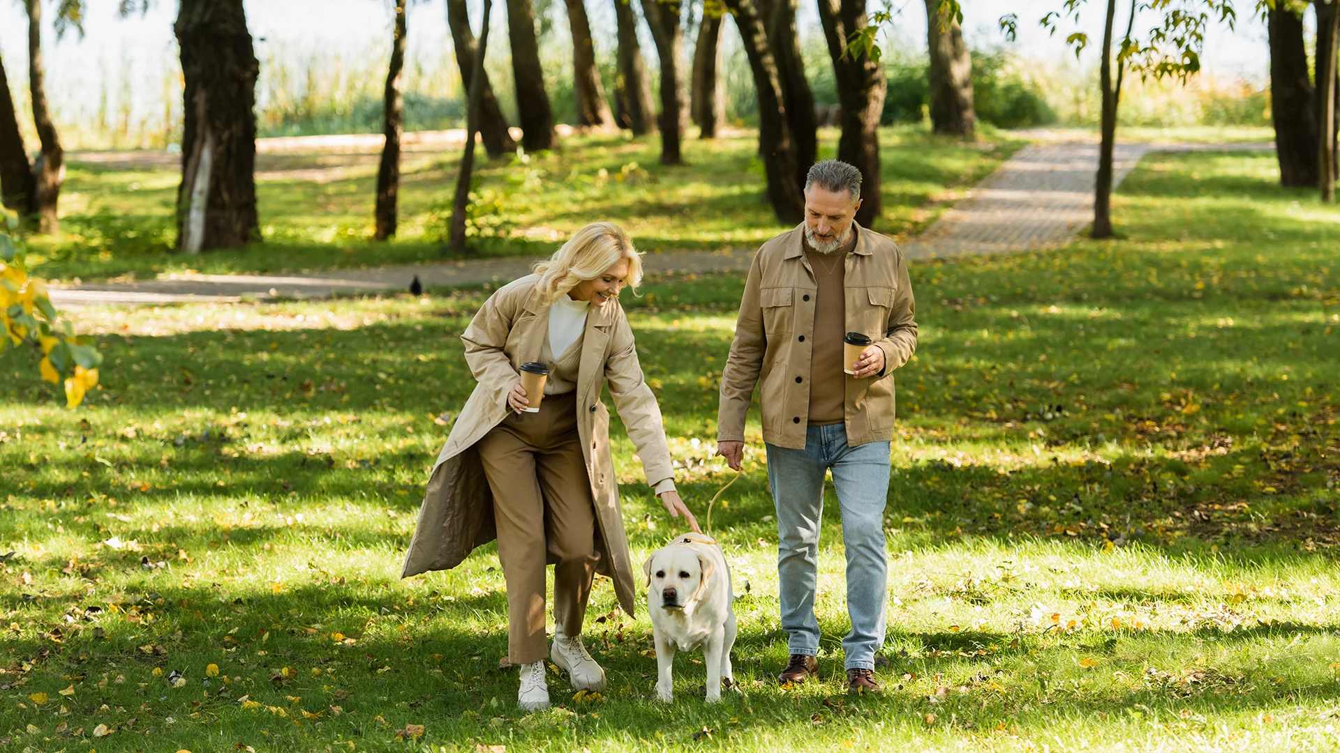 Harvard study links modest daily walking to slower cognitive decline in older adults